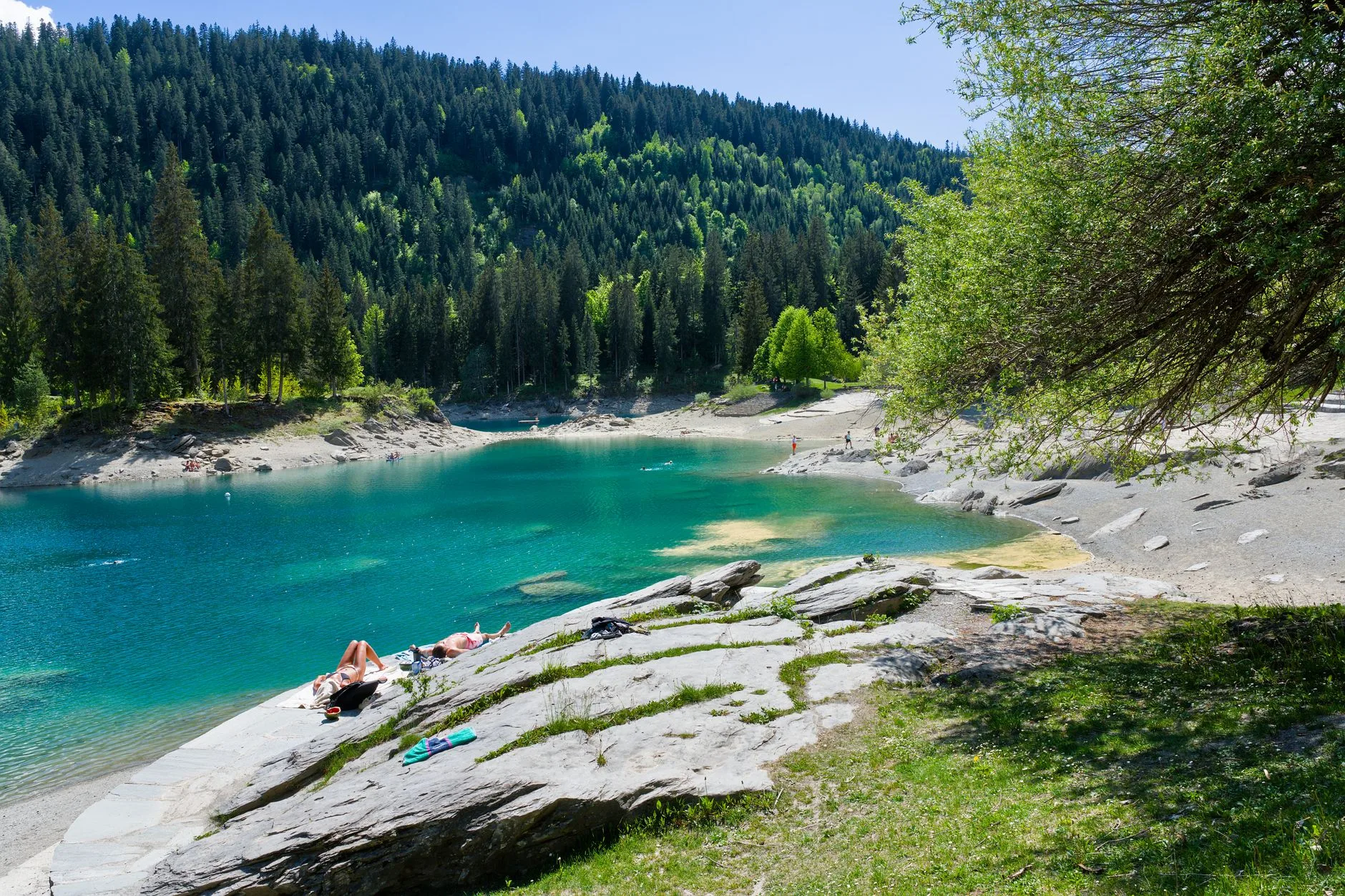 Paysage de montagne suisse et lac sous un ciel dégagé