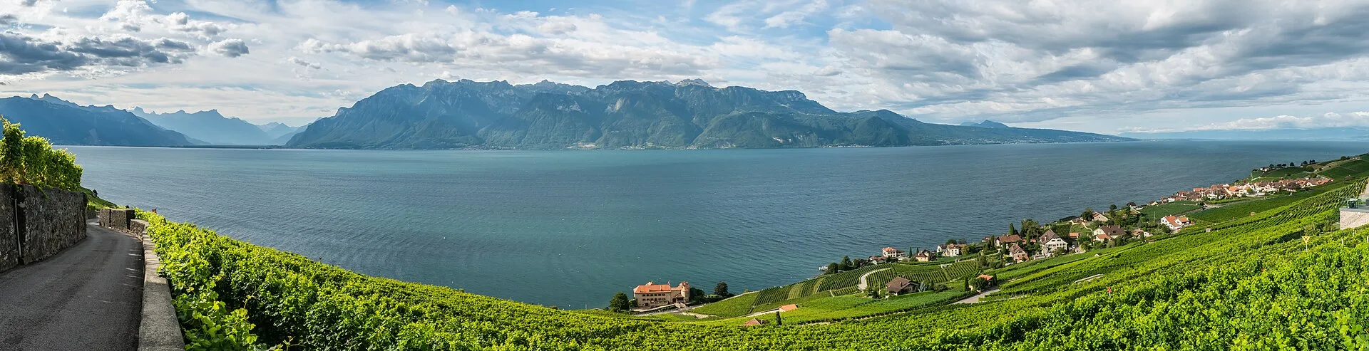 Le Lavaux : vignobles en terrasses classés à l'UNESCO